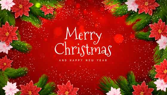漂亮花卉设计红色圣诞节背景矢量素材(AI/EPS)