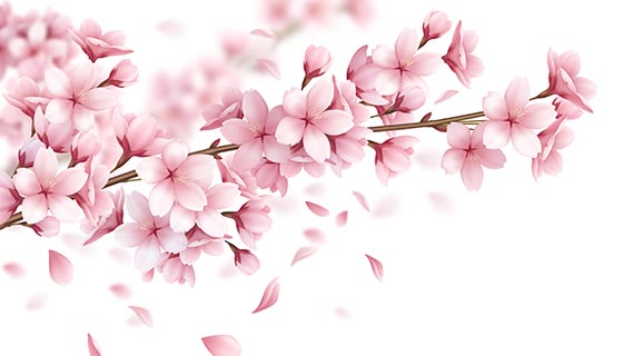 逼真漂亮的樱花矢量素材(EPS)