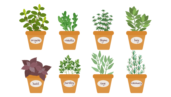 8个扁平风格的草药盆栽矢量素材(EPS/PNG)