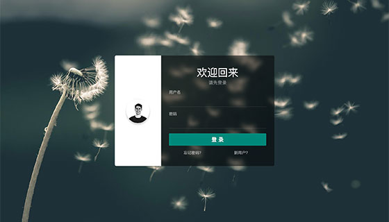 登录注册忘记密码页面