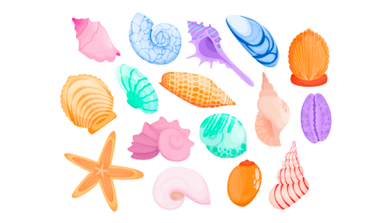 手绘风格多彩贝壳矢量素材(EPS/PNG)