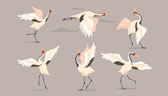 不同姿势的鹤矢量素材(EPS)