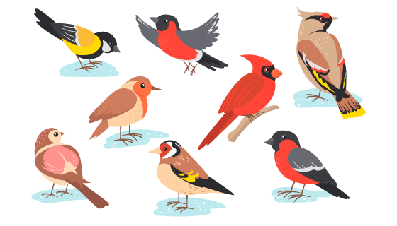 各种各样的鸟矢量素材(EPS)