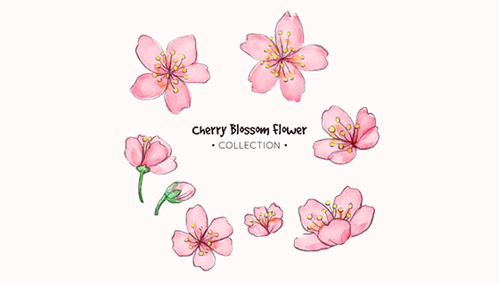 水彩樱花矢量素材(EPS/AI)