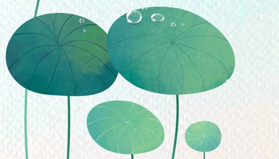 逼真的绿叶和水滴矢量素材(EPS)