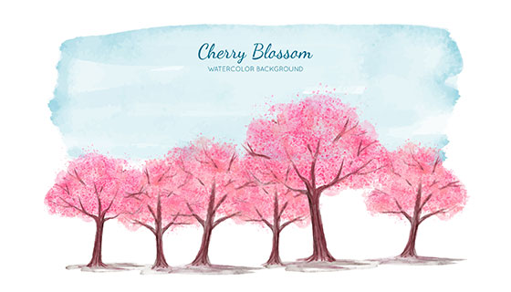 水彩樱花矢量素材(EPS/AI)