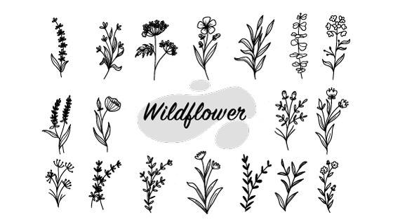 手绘风格花朵和叶子矢量素材(EPS)