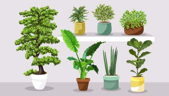 七种逼真的盆栽矢量素材(AI/EPS)