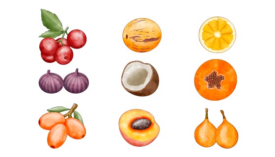 九种手绘水彩风格水果矢量素材(AI/EPS/PNG)