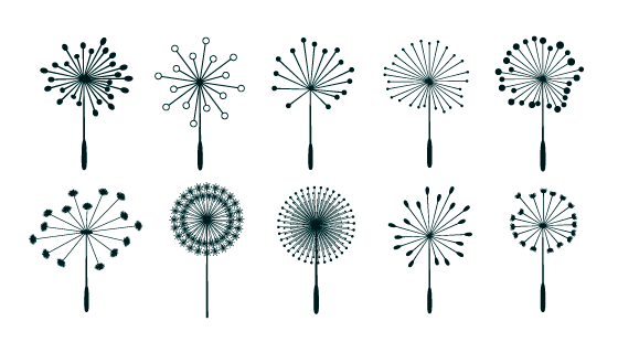 十种蒲公英种子矢量素材(EPS)
