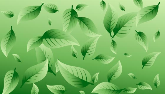 清新的绿叶背景矢量素材(EPS)