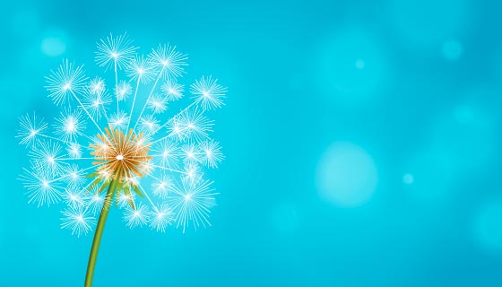 蓝色的蒲公英背景矢量素材(EPS)