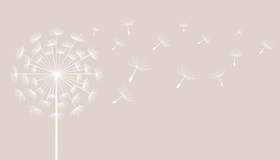 飞舞的蒲公英背景矢量素材(EPS)