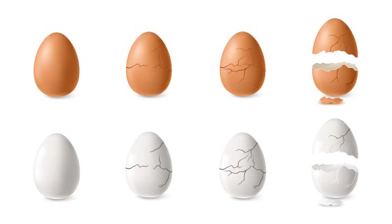 逼真的裂开的鸡蛋矢量素材(EPS/PNG)