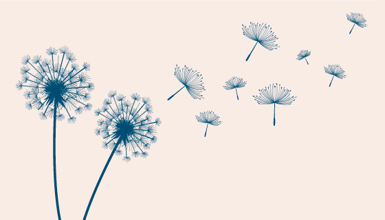 飞舞的蒲公英矢量素材(EPS)