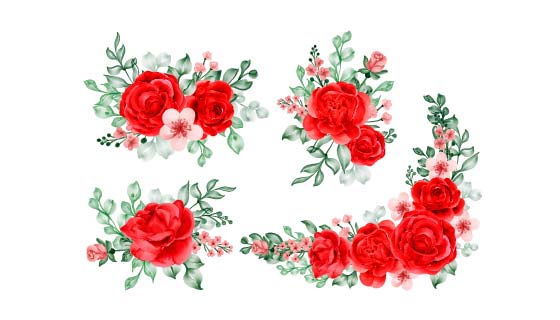 水彩风格的玫瑰花矢量素材(EPS)