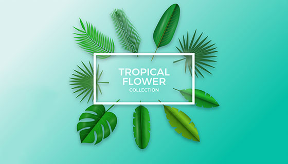 9款热带植物叶子矢量素材(EPS/AI)