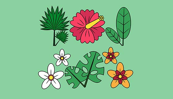 6款漂亮的热带花卉矢量素材(EPS/AI)