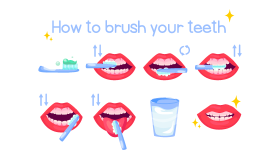 正确的刷牙步骤示意图矢量素材(EPS/PNG)