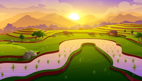 壮观的日出梯田景色矢量素材(EPS)