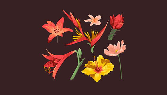 热带花卉图案矢量素材(EPS/AI)