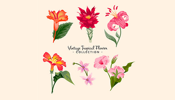 热带花卉图案矢量素材(EPS/AI)