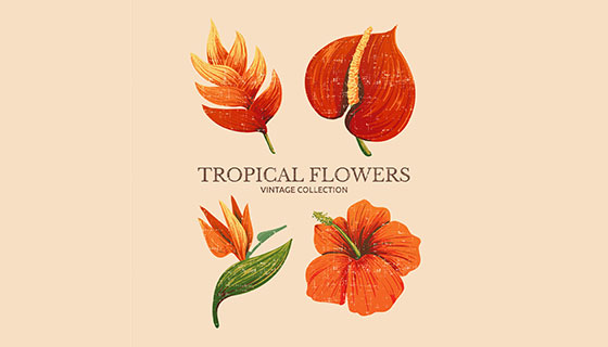 热带花卉图案矢量素材(EPS/AI)