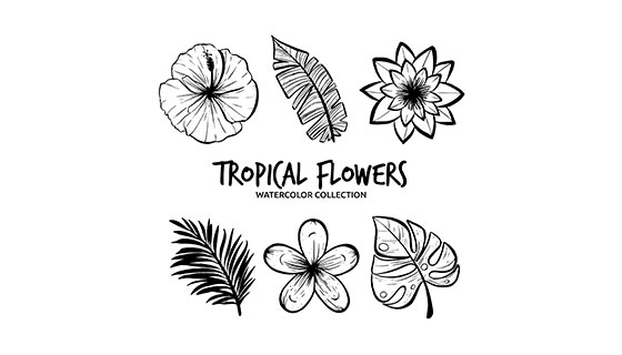 手绘花卉矢量素材(EPS/AI)