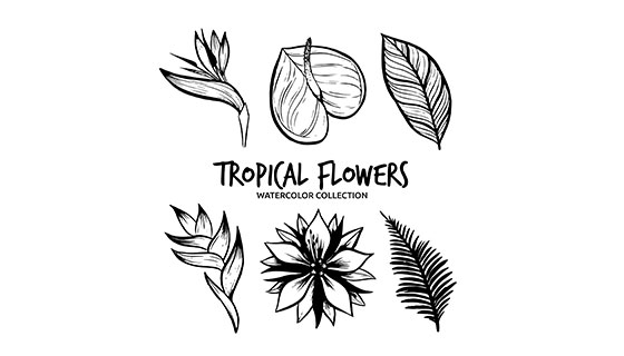 手绘热带花卉矢量素材(EPS/AI)
