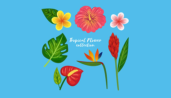 热带花卉矢量素材(EPS/AI)