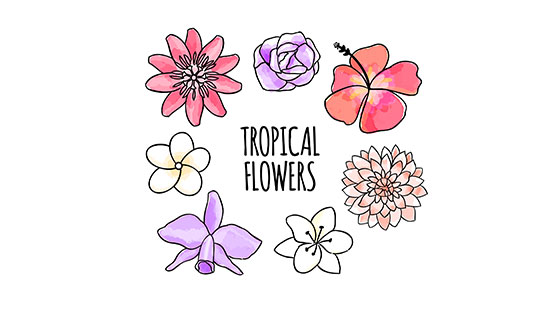 手绘水彩热带花卉矢量素材(EPS/AI)