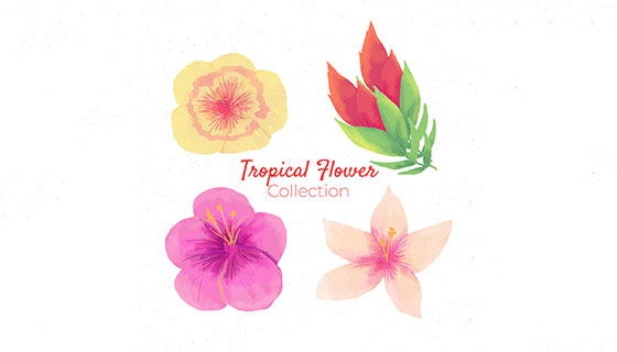 水彩热带花卉矢量素材(EPS/AI)