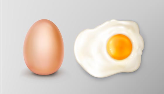 逼真美味的鸡蛋和煎鸡蛋矢量素材(AI/EPS)