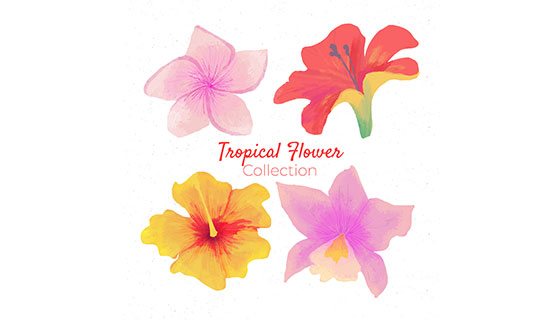 水彩热带花卉矢量素材(EPS/AI)