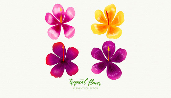 水彩热带花卉矢量素材(EPS/AI)