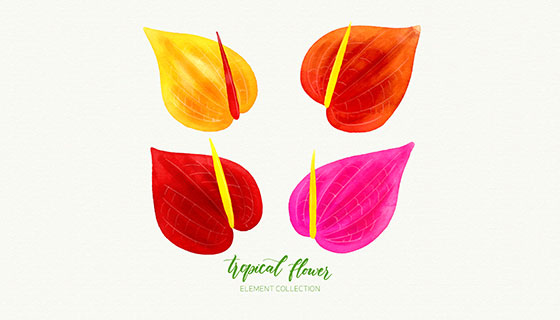 水彩热带花卉矢量素材(EPS/AI)