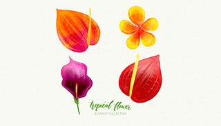 水彩热带花卉矢量素材(EPS/AI)