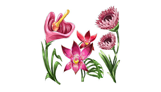 水彩热带花卉矢量素材(EPS/AI)