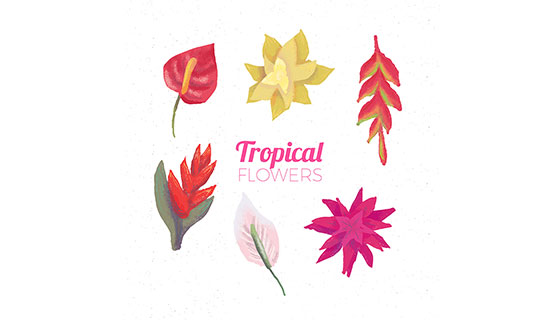水彩热带花卉矢量素材(EPS/AI)