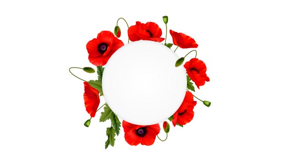 红色罂粟花环矢量素材(EPS)