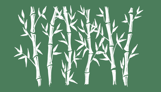 手绘涂鸦风格的竹子矢量素材(EPS)