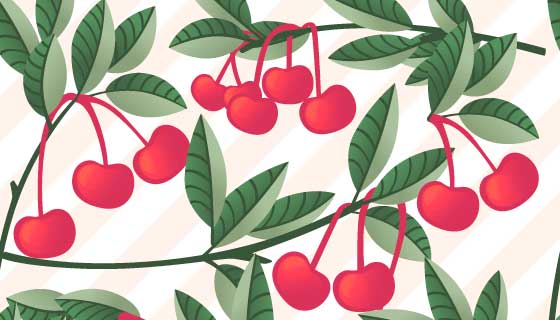 诱人的樱桃背景矢量素材(EPS)