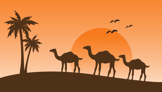 夕阳下行走在沙漠中的骆驼剪影矢量素材(EPS)