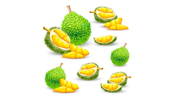 逼真美味的榴莲矢量素材(EPS)