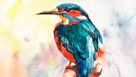 水彩画风格的翠鸟矢量素材(EPS)