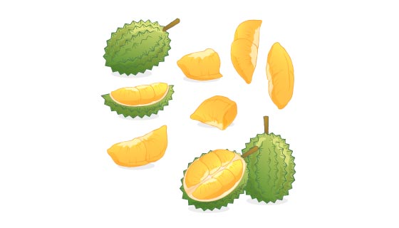 扁平风格的美味榴莲矢量素材(EPS)