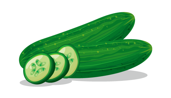 扁平逼真的黄瓜矢量素材(EPS)