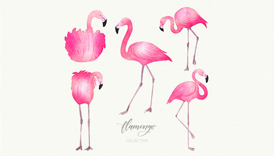 水彩风格火烈鸟矢量素材(EPS/AI)