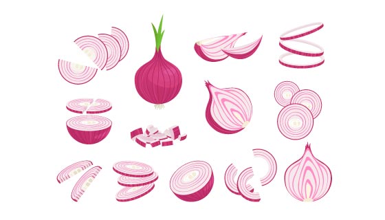 各种各样切开的洋葱矢量素材(EPS)